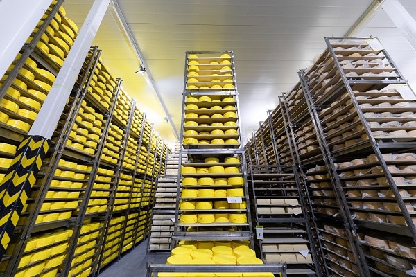 Racks with yellow cheese heads