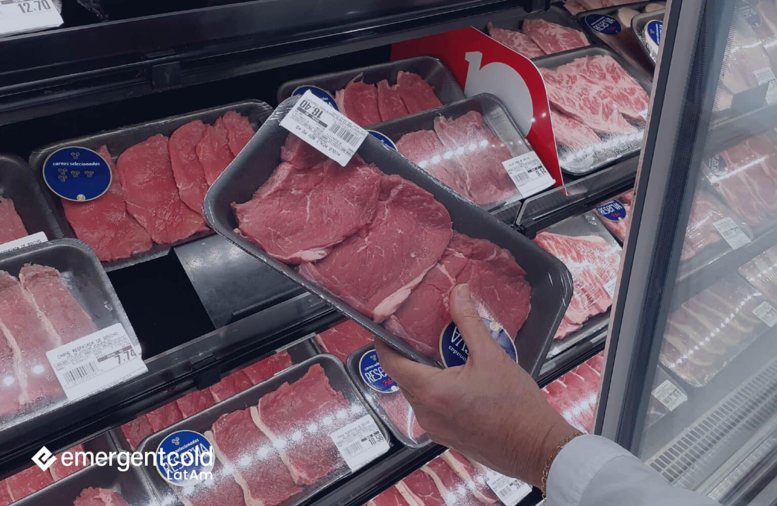 Cold storage warehouse: learn about the structure and the best options