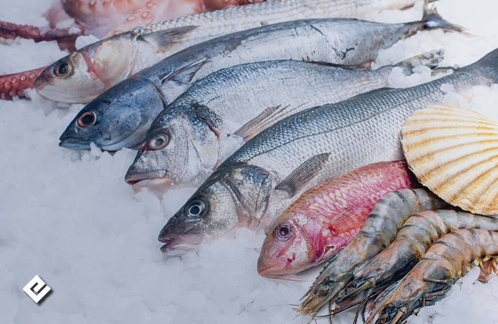 exporta&ccedil;&atilde;o de pescados